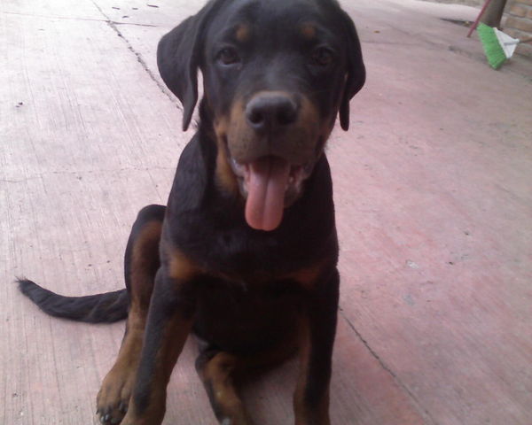 4 meses